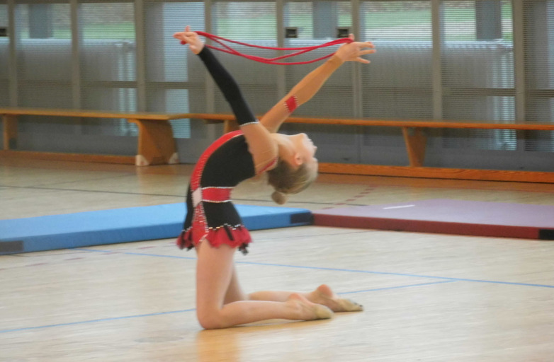 Niedersachsen-Cup 2015