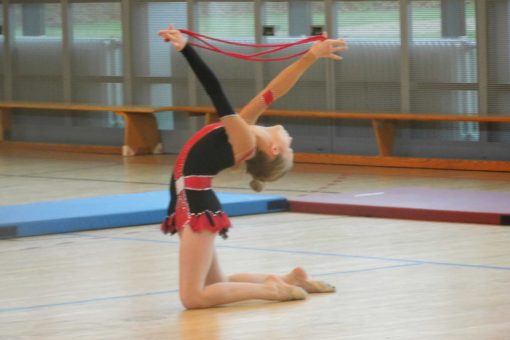 Niedersachsen-Cup 2015